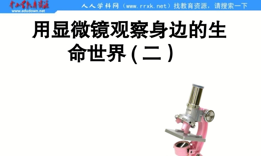 教科小学科学六下《1.6、用显微镜观察身边的生命世界（二）》PPT课件(3)【加微信公众号 jiaoxuewuyou 九折优惠 qq 1119139686】.ppt