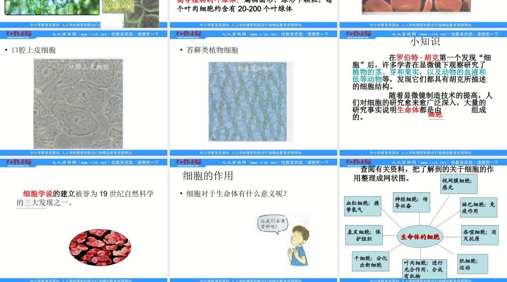 教科小学科学六下《1.6、用显微镜观察身边的生命世界（二）》PPT课件(3)【加微信公众号 jiaoxuewuyou 九折优惠 qq 1119139686】.ppt
