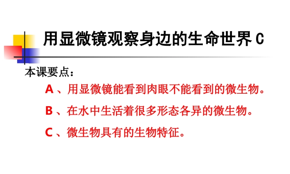 教科小学科学六下《1.7、用显微镜观察身边的生命世界（三）》PPT课件(6)【加微信公众号 jiaoxuewuyou 九折优惠 qq 1119139686】.ppt