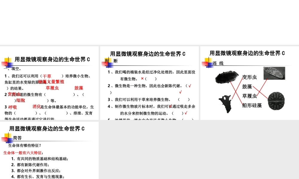 教科小学科学六下《1.7、用显微镜观察身边的生命世界（三）》PPT课件(6)【加微信公众号 jiaoxuewuyou 九折优惠 qq 1119139686】.ppt
