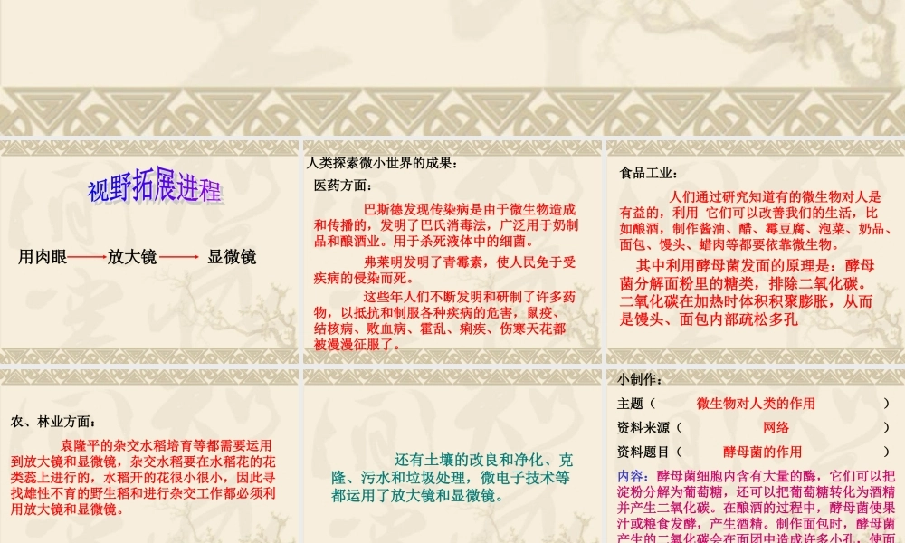 教科小学科学六下《1.8、微小世界和我们》PPT课件(5)【加微信公众号 jiaoxuewuyou 九折优惠 qq 1119139686】.ppt