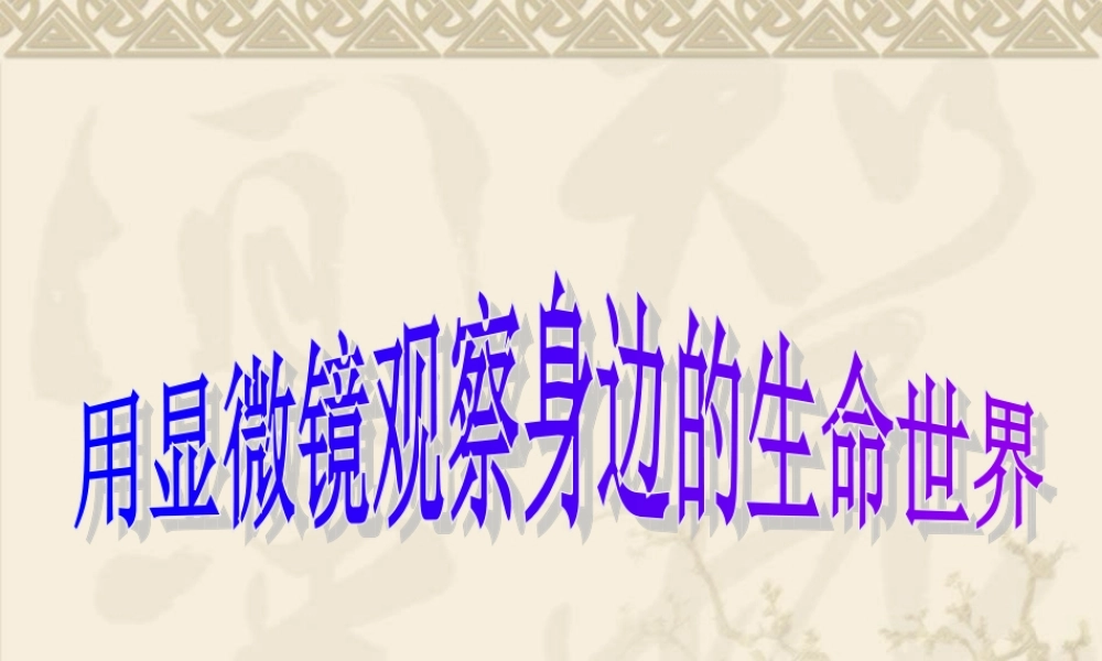 教科小学科学六下《1.7、用显微镜观察身边的生命世界（三）》PPT课件(7)【加微信公众号 jiaoxuewuyou 九折优惠 qq 1119139686】.ppt