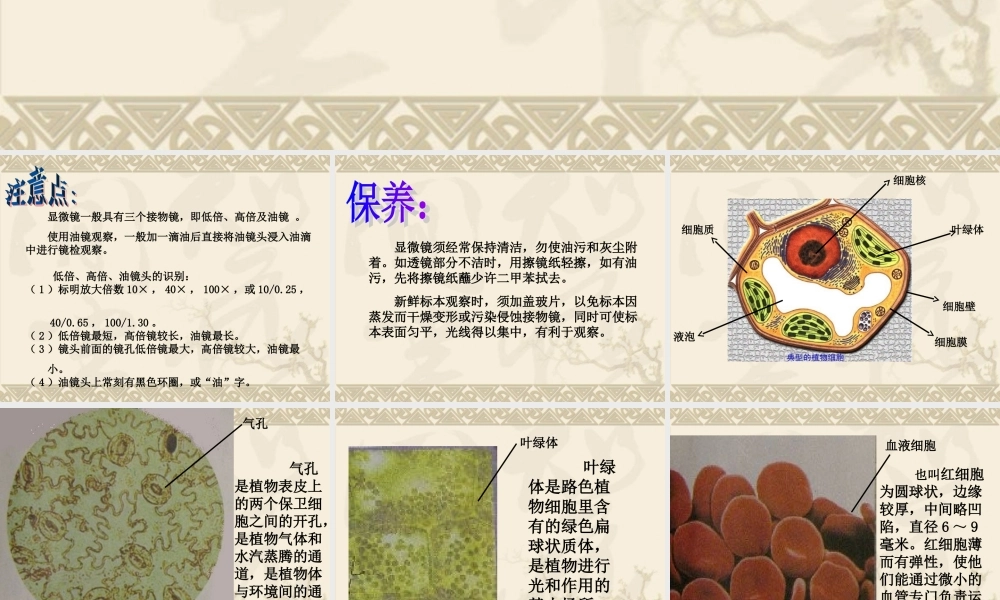 教科小学科学六下《1.7、用显微镜观察身边的生命世界（三）》PPT课件(7)【加微信公众号 jiaoxuewuyou 九折优惠 qq 1119139686】.ppt