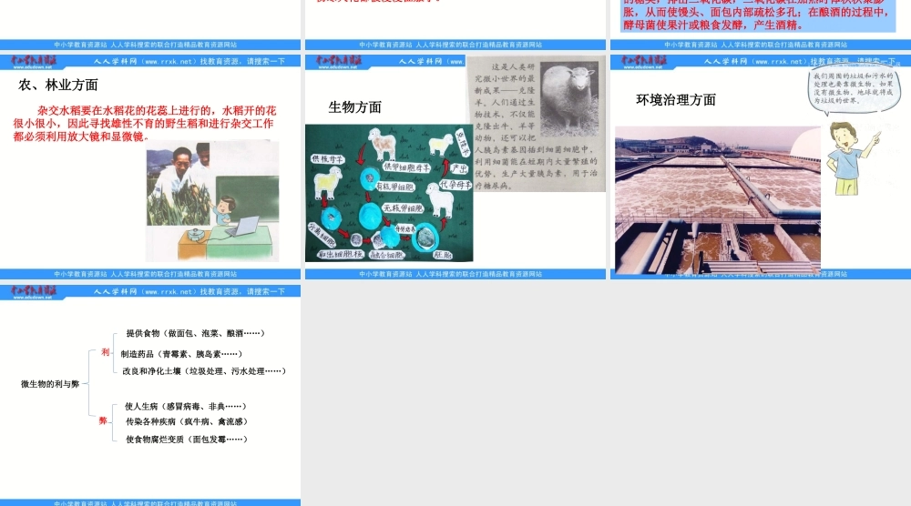 教科小学科学六下《1.8、微小世界和我们》PPT课件(2)【加微信公众号 jiaoxuewuyou 九折优惠 qq 1119139686】.ppt