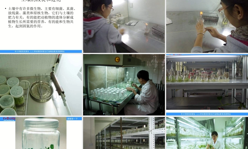 教科小学科学六下《1.8、微小世界和我们》PPT课件(4)【加微信公众号 jiaoxuewuyou 九折优惠 qq 1119139686】.ppt