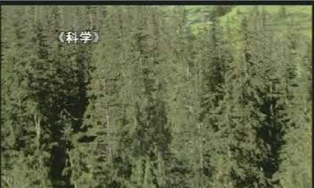 教科小学科学三上《1.1.我看到了什么》PPT课件(3)【加微信公众号 jiaoxuewuyou 九折优惠 qq 1119139686】.ppt