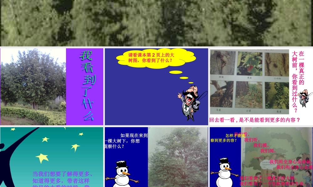 教科小学科学三上《1.1.我看到了什么》PPT课件(3)【加微信公众号 jiaoxuewuyou 九折优惠 qq 1119139686】.ppt