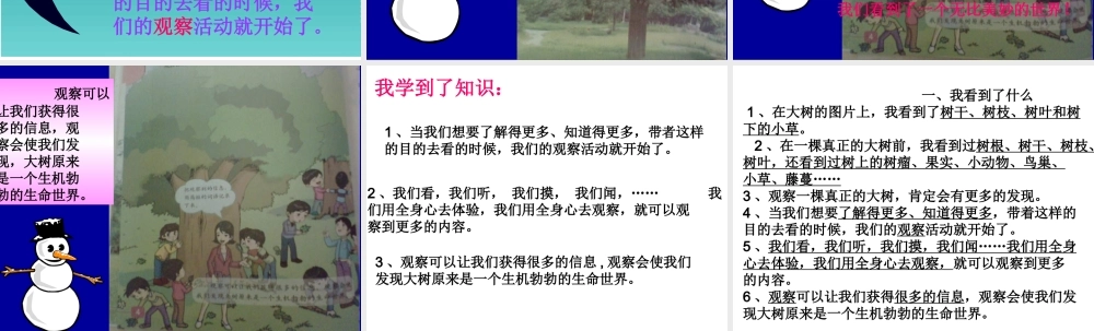 教科小学科学三上《1.1.我看到了什么》PPT课件(3)【加微信公众号 jiaoxuewuyou 九折优惠 qq 1119139686】.ppt