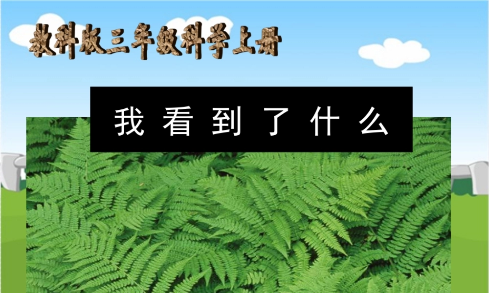 教科小学科学三上《1.1.我看到了什么》PPT课件(8)【加微信公众号 jiaoxuewuyou 九折优惠 qq 1119139686】.ppt