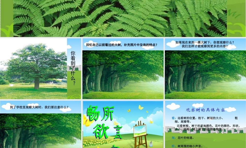 教科小学科学三上《1.1.我看到了什么》PPT课件(8)【加微信公众号 jiaoxuewuyou 九折优惠 qq 1119139686】.ppt