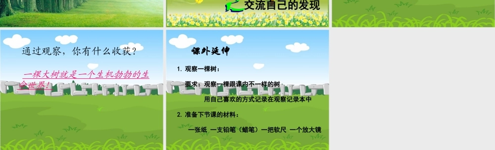 教科小学科学三上《1.1.我看到了什么》PPT课件(8)【加微信公众号 jiaoxuewuyou 九折优惠 qq 1119139686】.ppt