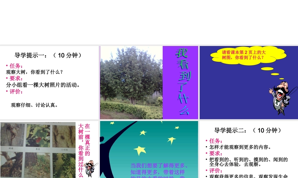 教科小学科学三上《1.1.我看到了什么》PPT课件(6)【加微信公众号 jiaoxuewuyou 九折优惠 qq 1119139686】.ppt