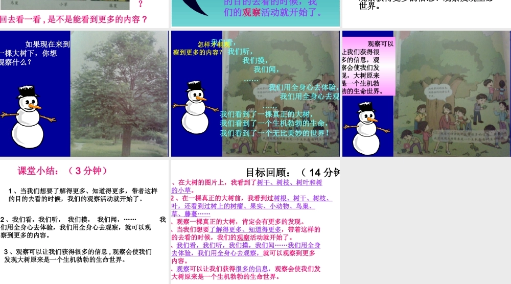 教科小学科学三上《1.1.我看到了什么》PPT课件(6)【加微信公众号 jiaoxuewuyou 九折优惠 qq 1119139686】.ppt
