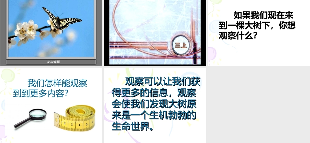 教科小学科学三上《1.1.我看到了什么》PPT课件(1)【加微信公众号 jiaoxuewuyou 九折优惠 qq 1119139686】.ppt