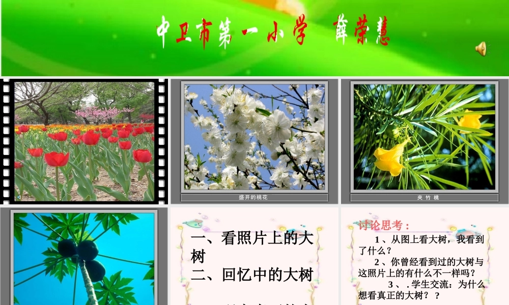 教科小学科学三上《1.1.我看到了什么》PPT课件(5)【加微信公众号 jiaoxuewuyou 九折优惠 qq 1119139686】.ppt