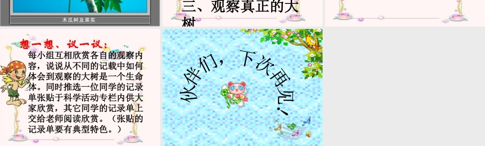 教科小学科学三上《1.1.我看到了什么》PPT课件(5)【加微信公众号 jiaoxuewuyou 九折优惠 qq 1119139686】.ppt