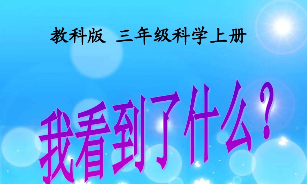 教科小学科学三上《1.1.我看到了什么》PPT课件(7)【加微信公众号 jiaoxuewuyou 九折优惠 qq 1119139686】.ppt