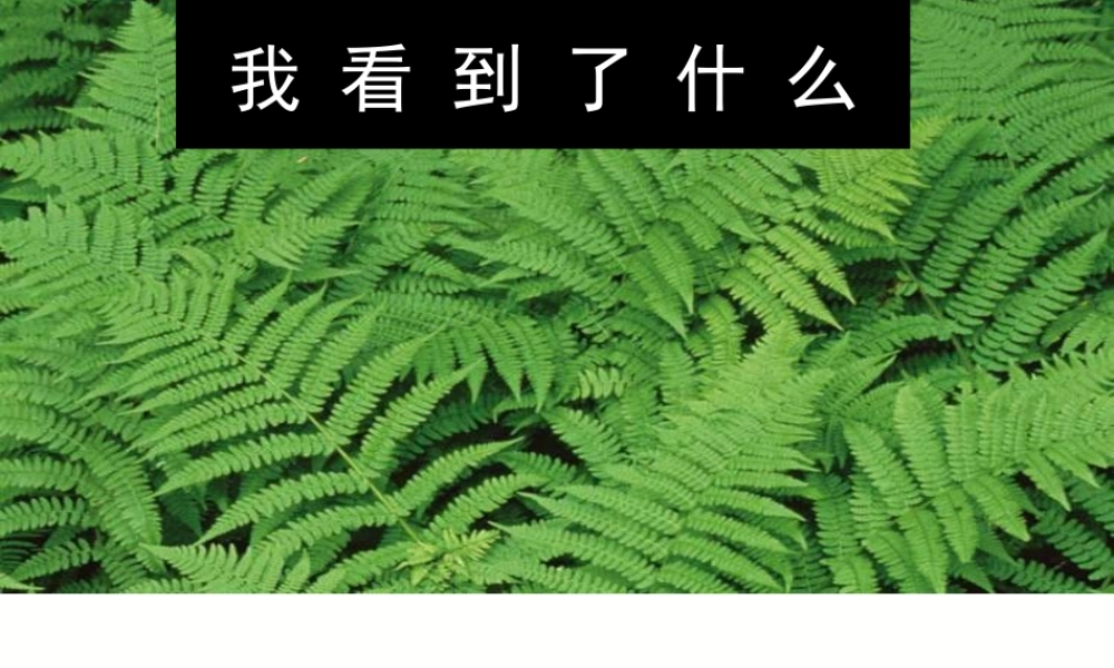 教科小学科学三上《1.1.我看到了什么》PPT课件(2)【加微信公众号 jiaoxuewuyou 九折优惠 qq 1119139686】.ppt