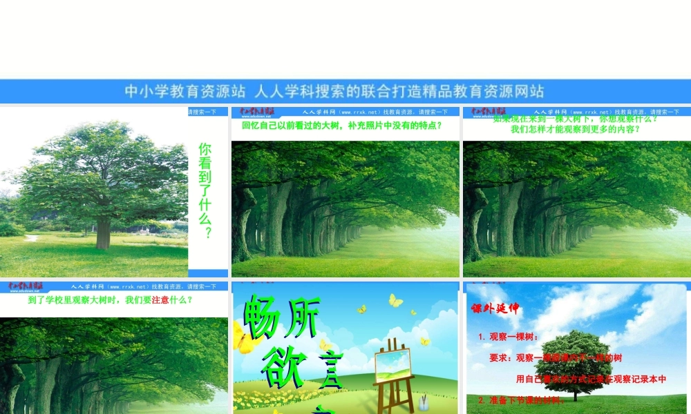 教科小学科学三上《1.1.我看到了什么》PPT课件(2)【加微信公众号 jiaoxuewuyou 九折优惠 qq 1119139686】.ppt