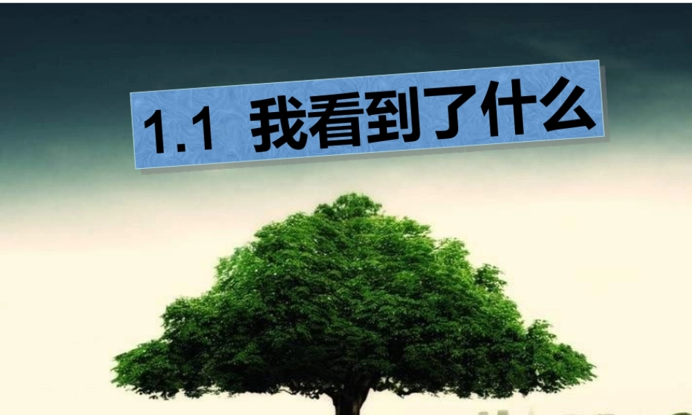 教科小学科学三上《1.1.我看到了什么》PPT课件(9)【加微信公众号 jiaoxuewuyou 九折优惠 qq 1119139686】.ppt