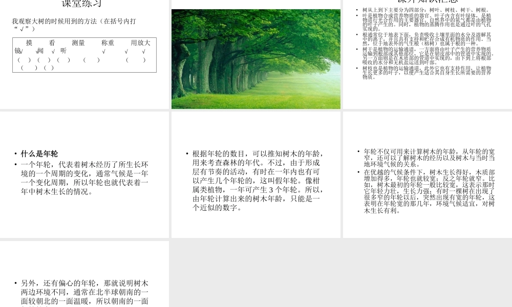 教科小学科学三上《1.1.我看到了什么》PPT课件(12)【加微信公众号 jiaoxuewuyou 九折优惠 qq 1119139686】.ppt