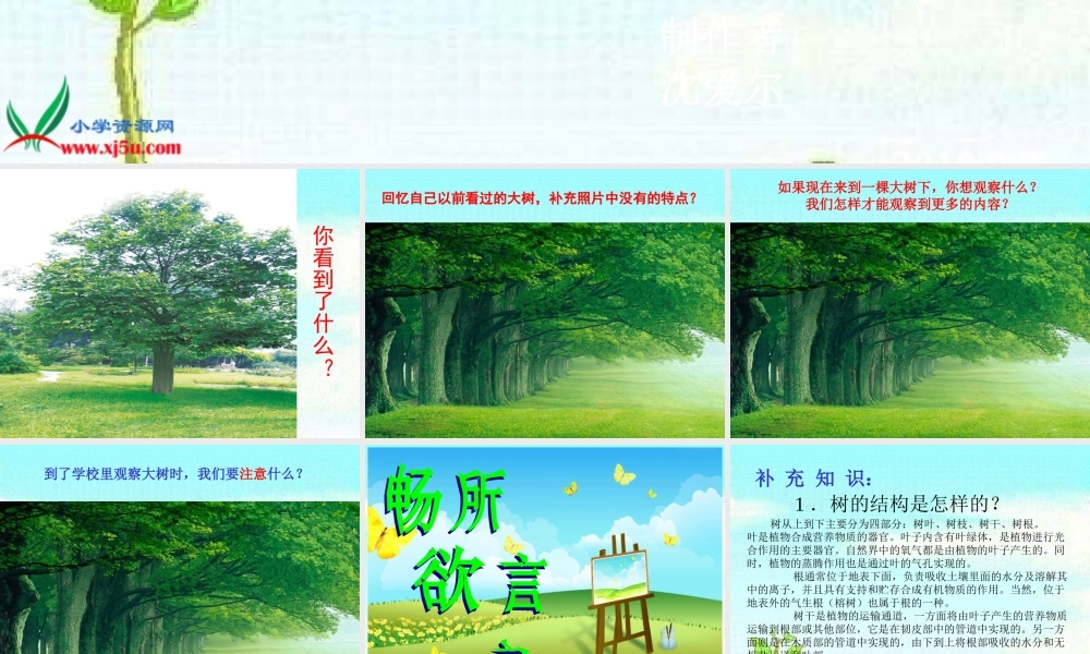 教科小学科学三上《1.1.我看到了什么》PPT课件(10)【加微信公众号 jiaoxuewuyou 九折优惠 qq 1119139686】.ppt