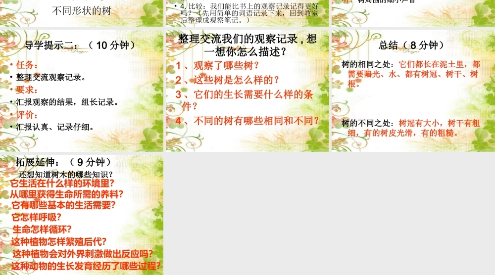 教科小学科学三上《1.2、校园的树木》PPT课件(6)【加微信公众号 jiaoxuewuyou 九折优惠 qq 1119139686】.ppt