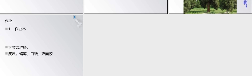 教科小学科学三上《1.1.我看到了什么》PPT课件(13)【加微信公众号 jiaoxuewuyou 九折优惠 qq 1119139686】.ppt