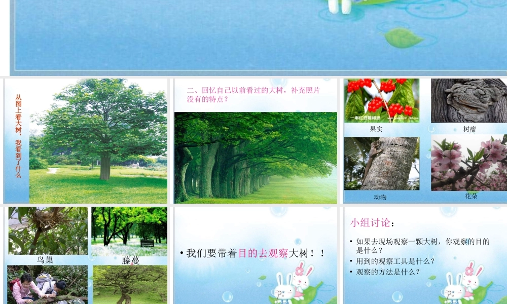 教科小学科学三上《1.1.我看到了什么》PPT课件(18)【加微信公众号 jiaoxuewuyou 九折优惠 qq 1119139686】.ppt