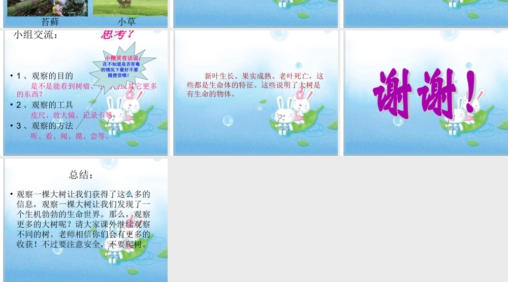 教科小学科学三上《1.1.我看到了什么》PPT课件(18)【加微信公众号 jiaoxuewuyou 九折优惠 qq 1119139686】.ppt