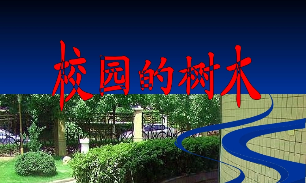 教科小学科学三上《1.2、校园的树木》PPT课件(4)【加微信公众号 jiaoxuewuyou 九折优惠 qq 1119139686】.ppt