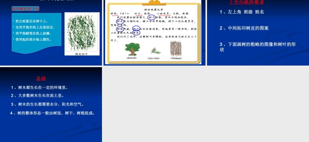 教科小学科学三上《1.2、校园的树木》PPT课件(4)【加微信公众号 jiaoxuewuyou 九折优惠 qq 1119139686】.ppt