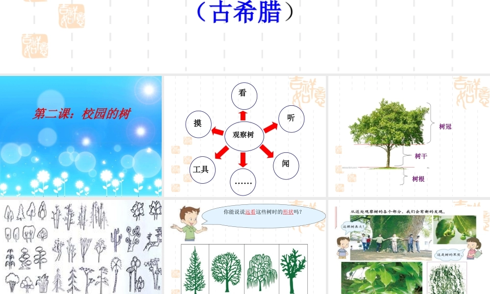 教科小学科学三上《1.2、校园的树木》PPT课件(2)【加微信公众号 jiaoxuewuyou 九折优惠 qq 1119139686】.ppt