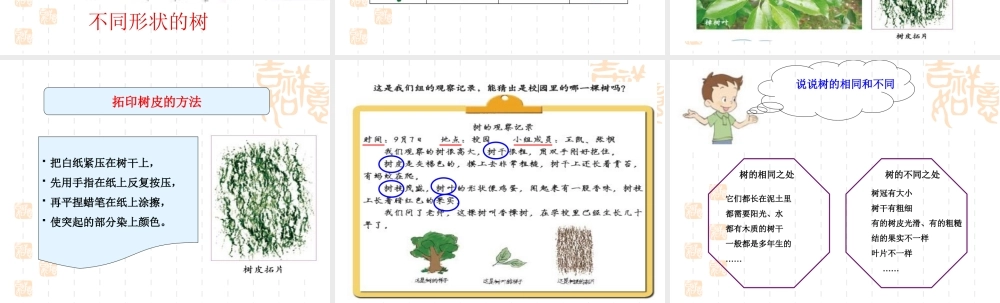 教科小学科学三上《1.2、校园的树木》PPT课件(2)【加微信公众号 jiaoxuewuyou 九折优惠 qq 1119139686】.ppt