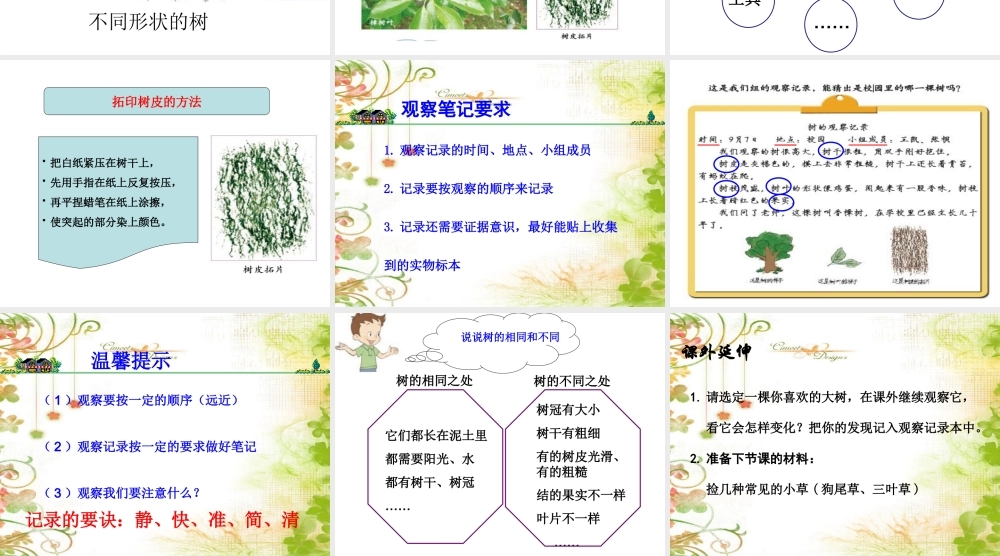 教科小学科学三上《1.2、校园的树木》PPT课件(12)【加微信公众号 jiaoxuewuyou 九折优惠 qq 1119139686】.ppt
