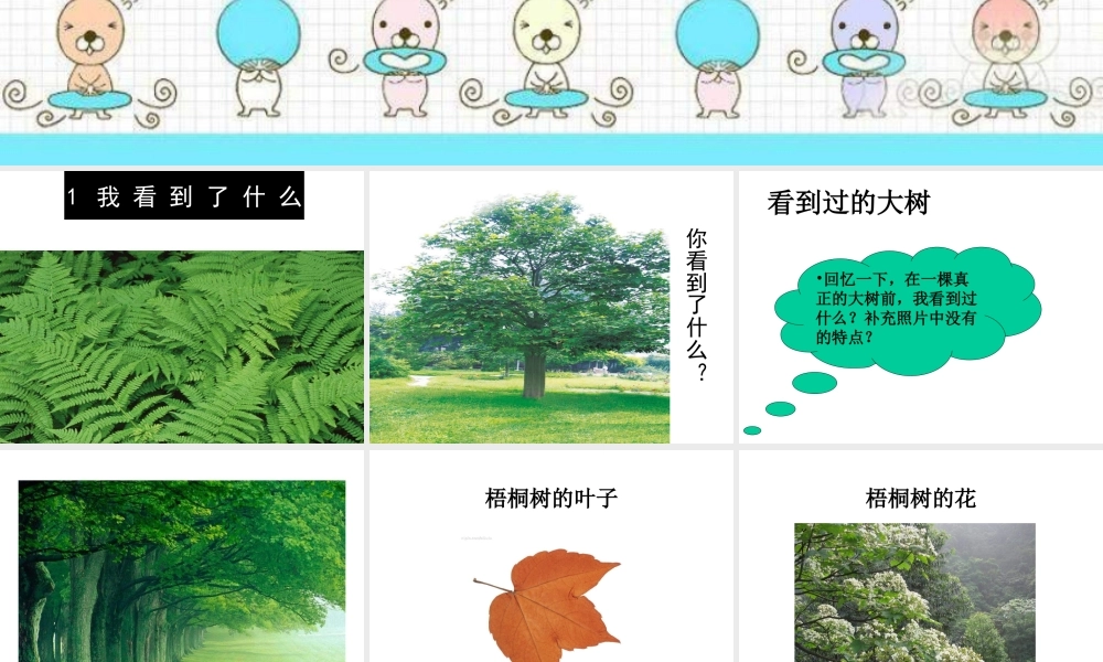 教科小学科学三上《1.1.我看到了什么》PPT课件(11)【加微信公众号 jiaoxuewuyou 九折优惠 qq 1119139686】.ppt