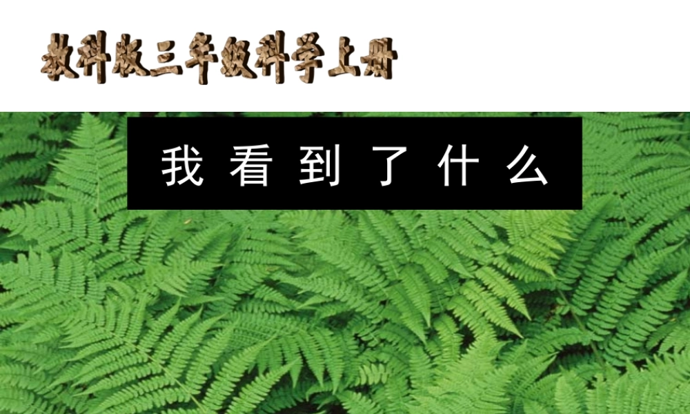 教科小学科学三上《1.1.我看到了什么》PPT课件(15)【加微信公众号 jiaoxuewuyou 九折优惠 qq 1119139686】.ppt