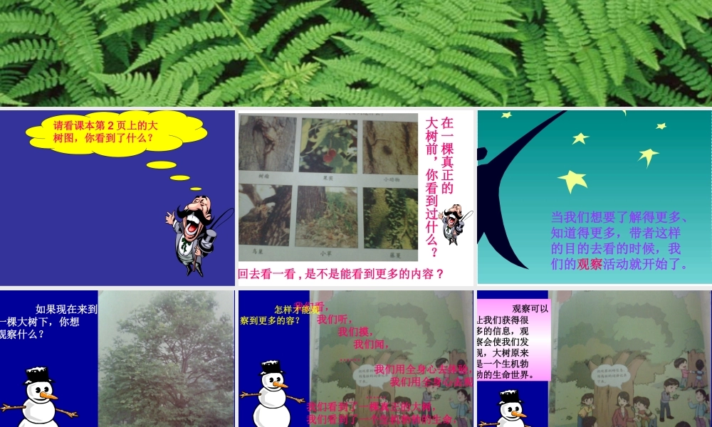 教科小学科学三上《1.1.我看到了什么》PPT课件(15)【加微信公众号 jiaoxuewuyou 九折优惠 qq 1119139686】.ppt