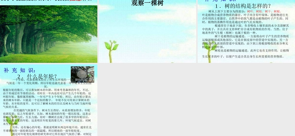 教科小学科学三上《1.1.我看到了什么》PPT课件(17)【加微信公众号 jiaoxuewuyou 九折优惠 qq 1119139686】.ppt