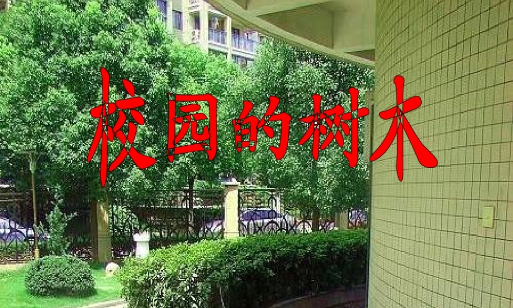 教科小学科学三上《1.2、校园的树木》PPT课件(3)【加微信公众号 jiaoxuewuyou 九折优惠 qq 1119139686】.ppt