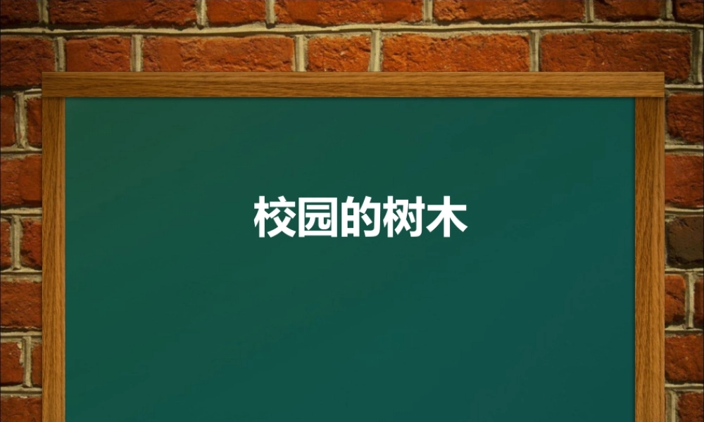 教科小学科学三上《1.2、校园的树木》PPT课件(13)【加微信公众号 jiaoxuewuyou 九折优惠 qq 1119139686】.ppt