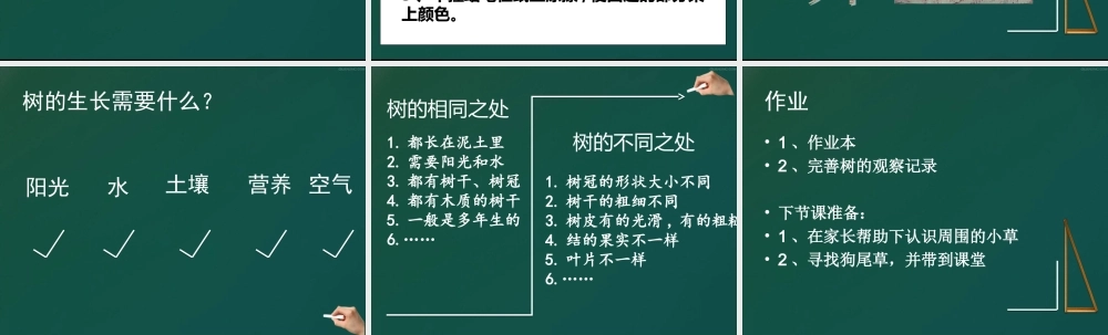 教科小学科学三上《1.2、校园的树木》PPT课件(13)【加微信公众号 jiaoxuewuyou 九折优惠 qq 1119139686】.ppt