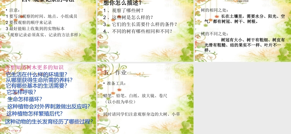 教科小学科学三上《1.2、校园的树木》PPT课件(8)【加微信公众号 jiaoxuewuyou 九折优惠 qq 1119139686】.ppt