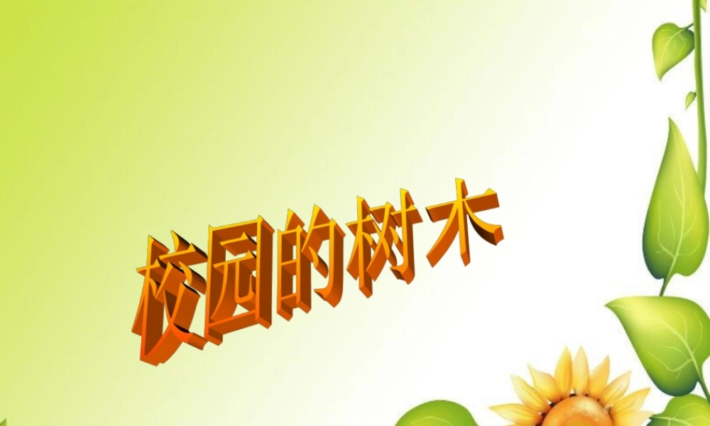 教科小学科学三上《1.2、校园的树木》PPT课件(18)【加微信公众号 jiaoxuewuyou 九折优惠 qq 1119139686】.ppt