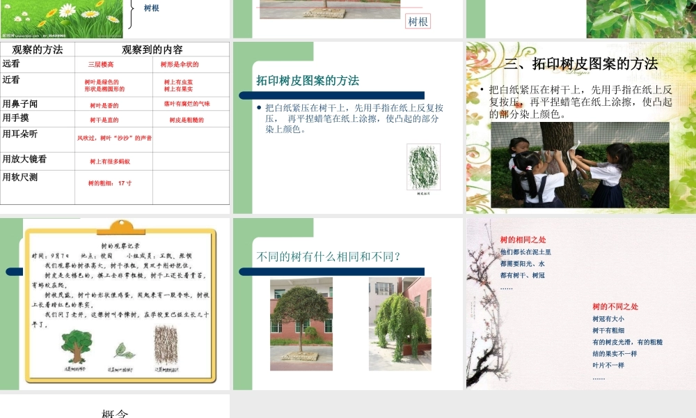 教科小学科学三上《1.2、校园的树木》PPT课件(5)【加微信公众号 jiaoxuewuyou 九折优惠 qq 1119139686】.ppt