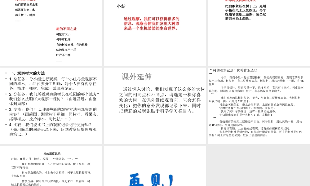 教科小学科学三上《1.2、校园的树木》PPT课件(15)【加微信公众号 jiaoxuewuyou 九折优惠 qq 1119139686】.ppt