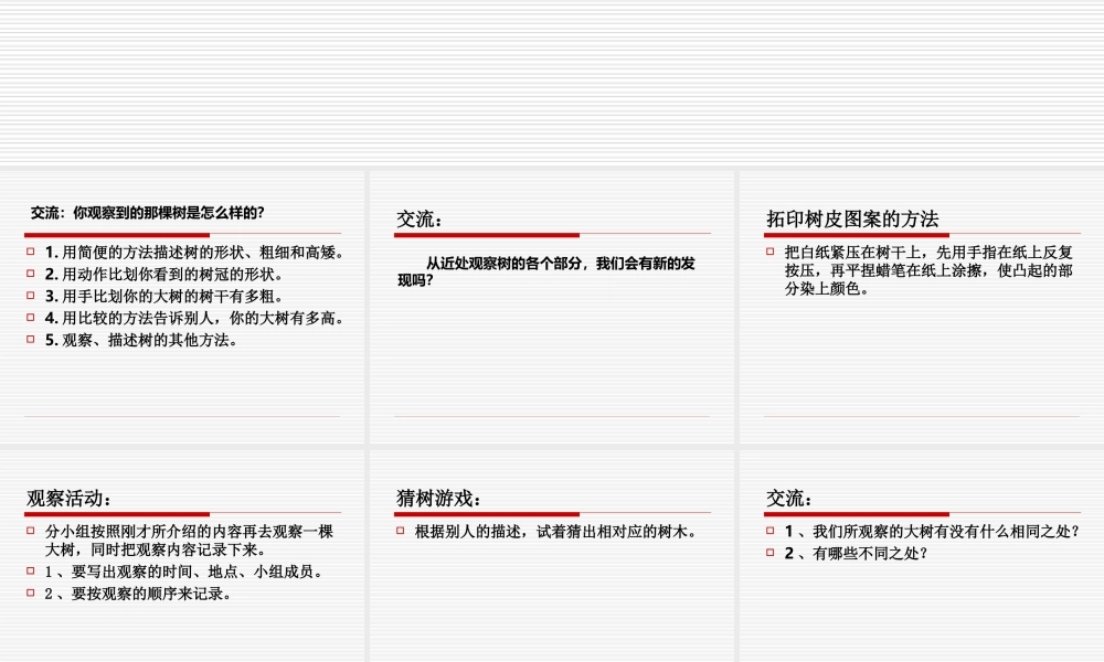 教科小学科学三上《1.2、校园的树木》PPT课件(16)【加微信公众号 jiaoxuewuyou 九折优惠 qq 1119139686】.ppt