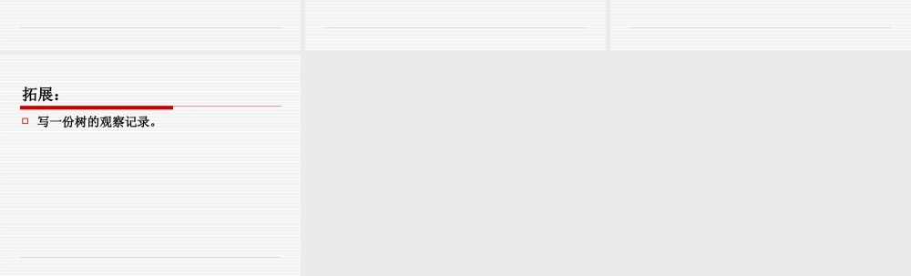 教科小学科学三上《1.2、校园的树木》PPT课件(16)【加微信公众号 jiaoxuewuyou 九折优惠 qq 1119139686】.ppt