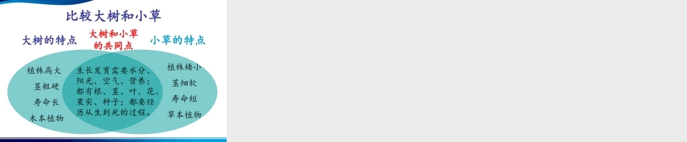 教科小学科学三上《1.3、大树和小草》PPT课件(6)【加微信公众号 jiaoxuewuyou 九折优惠 qq 1119139686】.ppt