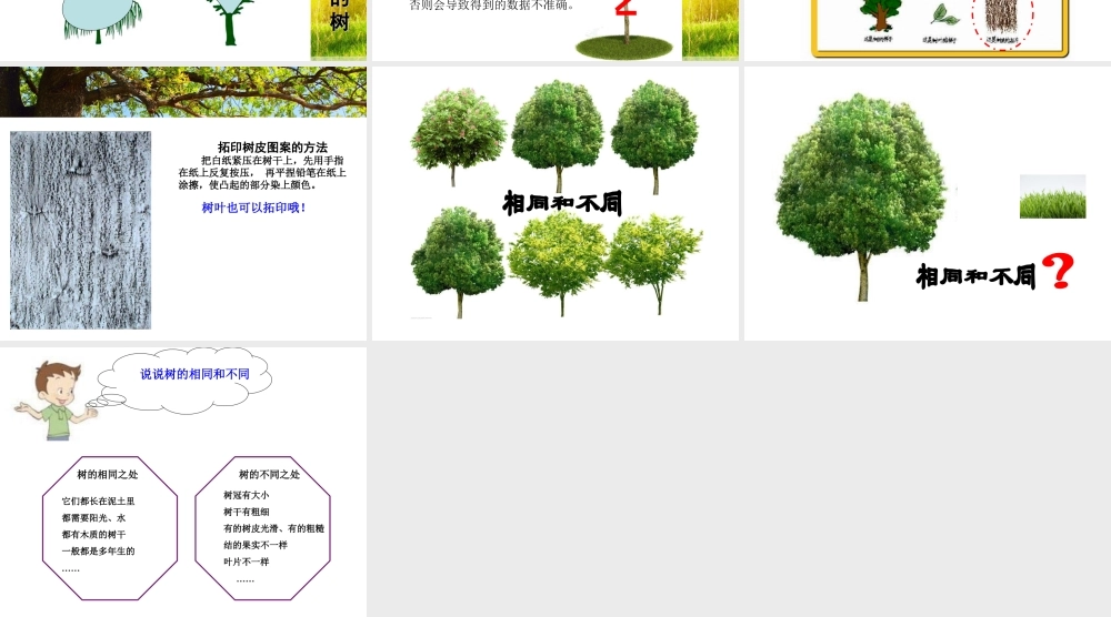 教科小学科学三上《1.2、校园的树木》PPT课件(9)【加微信公众号 jiaoxuewuyou 九折优惠 qq 1119139686】.ppt